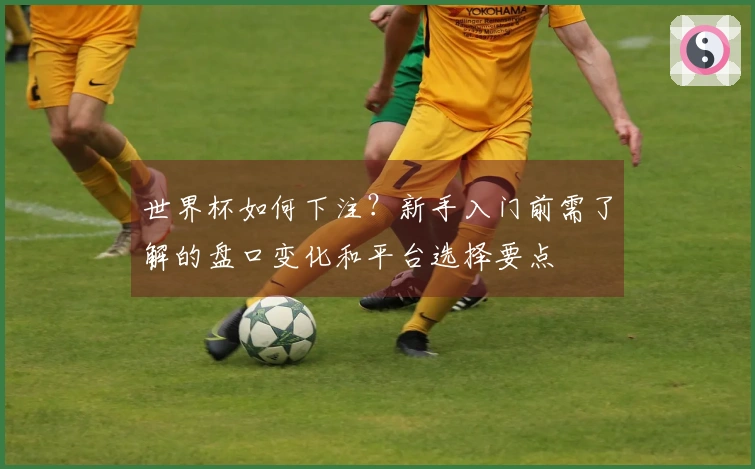 世界杯如何下注？新手入门前需了解的盘口变化和平台选择要点