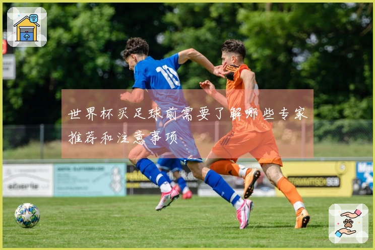 世界杯买足球前需要了解哪些专家推荐和注意事项