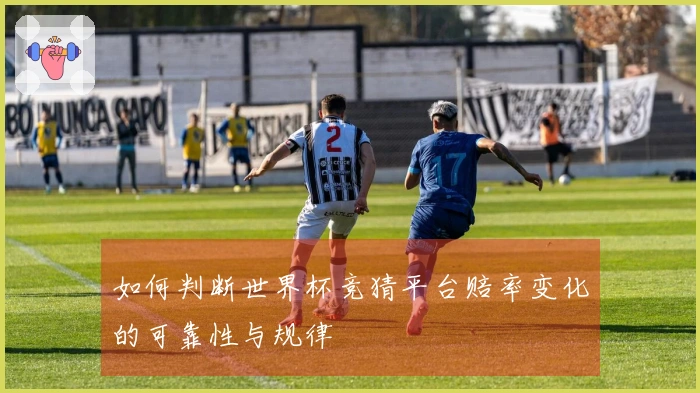如何判断世界杯竞猜平台赔率变化的可靠性与规律