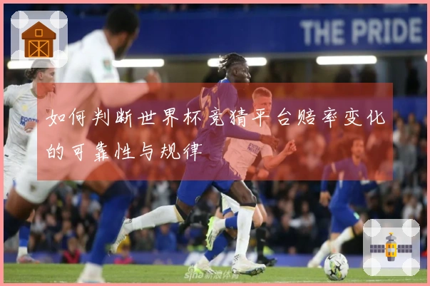 如何判断世界杯竞猜平台赔率变化的可靠性与规律